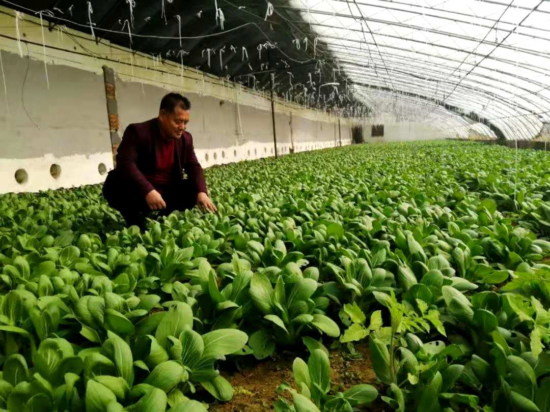 河北沧州:东光县经济开发区强化科技创新 助力脱贫攻坚