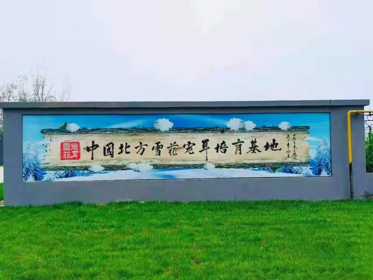 河北:“百家网媒游沧州”访千童故里 品秦汉神韵