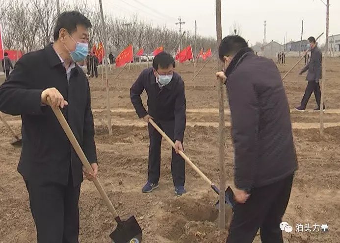 河北沧州:泊头市领导集体参加义务植树活动
