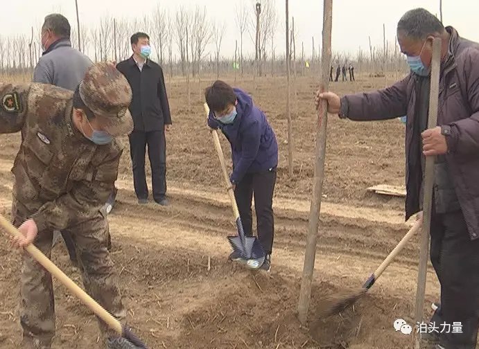 河北沧州:泊头市领导集体参加义务植树活动