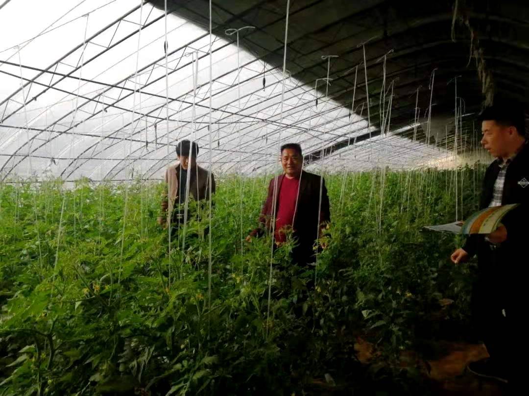 河北沧州:东光县经济开发区强化科技创新 助力脱贫攻坚