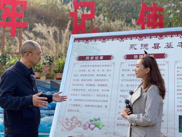 云南永德:依产业之美聚发展之力网络直播晒脱贫成绩单