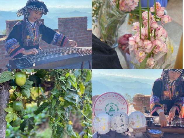 云南永德:依产业之美聚发展之力网络直播晒脱贫成绩单