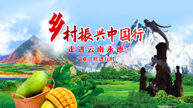 云南永德:依产业之美聚发展之力网络直播晒脱贫成绩单