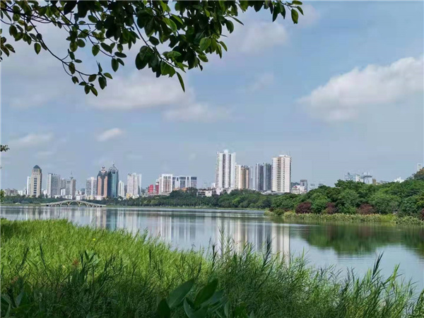 叶忠杨邕城杂诗10首