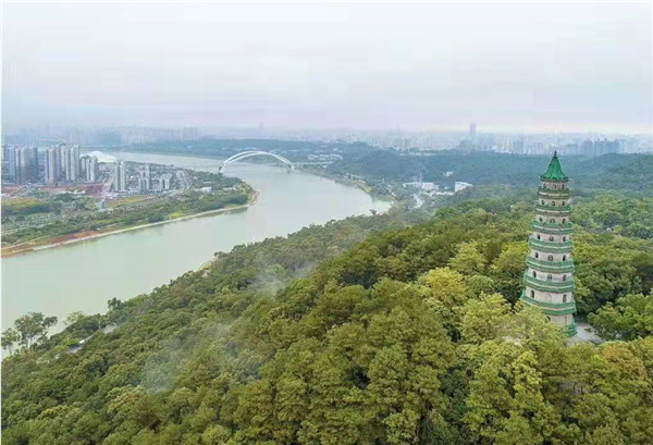 叶忠杨邕城杂诗10首