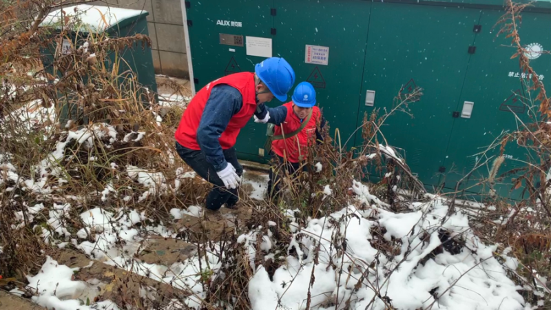 Žвɣ繫˾ԡѩսæȱ 