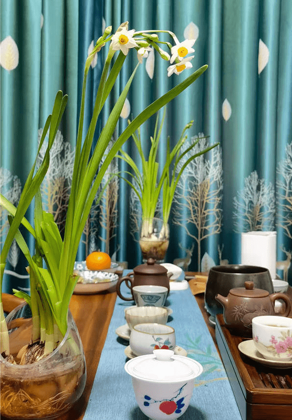 Ҷ������ʦ��Ʒʫ10��