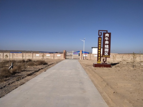 ����ר���Ʊ�����֧��Ƿ�����������������˴��·�չ