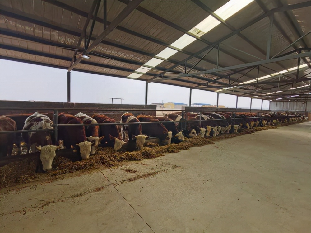 ����ר���Ʊ�����֧��Ƿ�����������������˴��·�չ