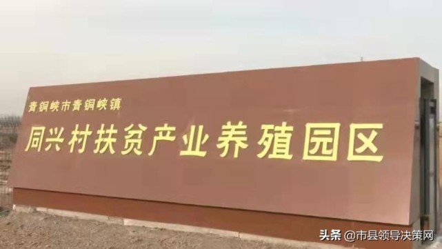 宁夏青铜峡市青铜峡镇:吹响乡村振兴项目驱动“冲锋号”