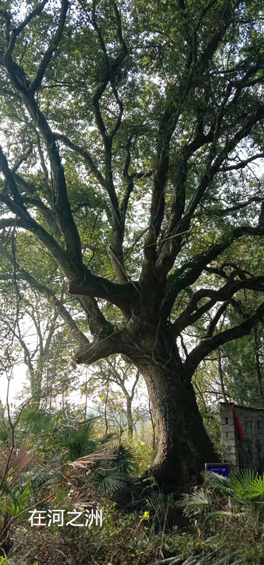 �� �� �� �� ��