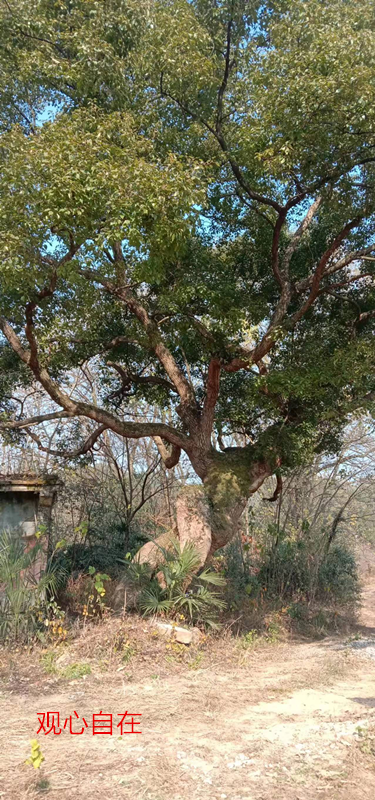 �� �� �� �� ��