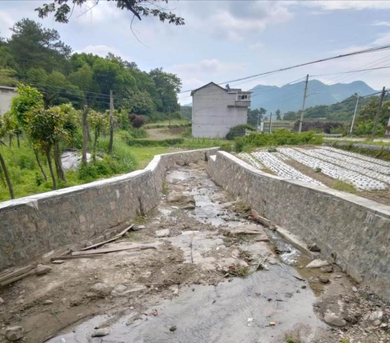 浙江新昌:眉岱乡贤同奔兴村共富路