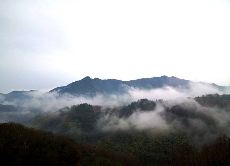 浙江新昌:眉岱乡贤同奔兴村共富路