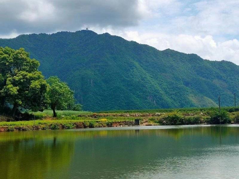 浙江新昌:眉岱乡贤同奔兴村共富路
