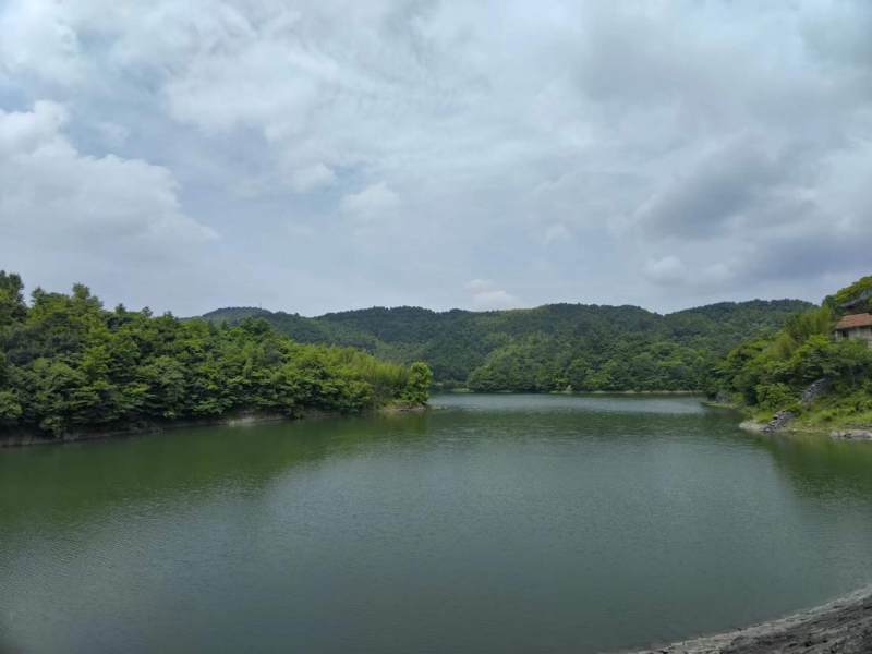 浙江新昌:眉岱乡贤同奔兴村共富路