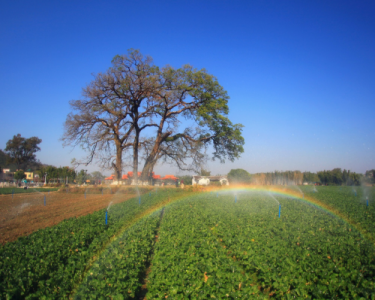 ������·����߲�������Ʒ�����ơ�logo�������ں�