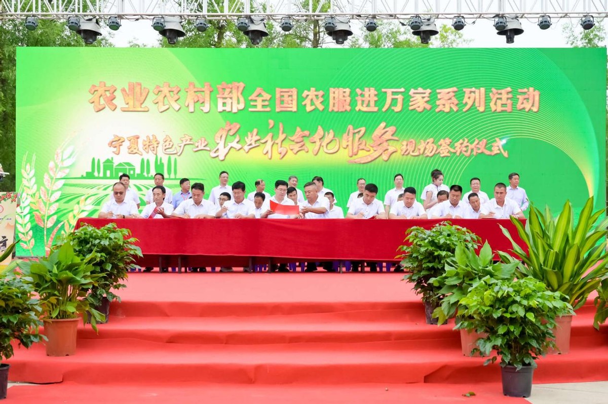 庆丰收 迎盛会 话农服中国农业生产托管万里行走进宁夏
